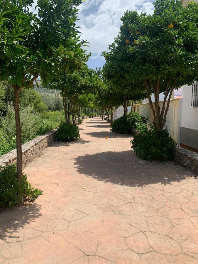 Apartamento En Cuevas Del Becerro Kültér fotó